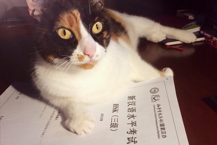 IMG_20210508_081906_857